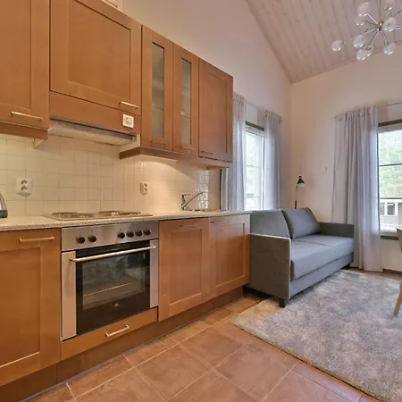 Ferienhaus Levin Karhunvartija 12 - Including Final Cleaning, Sauna, Fireplace, Skiroom And Gym